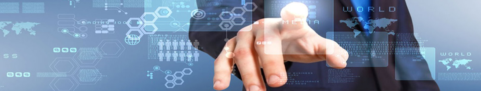 Wireless Biometric Attendance System Wireless Biometric Attendance System
